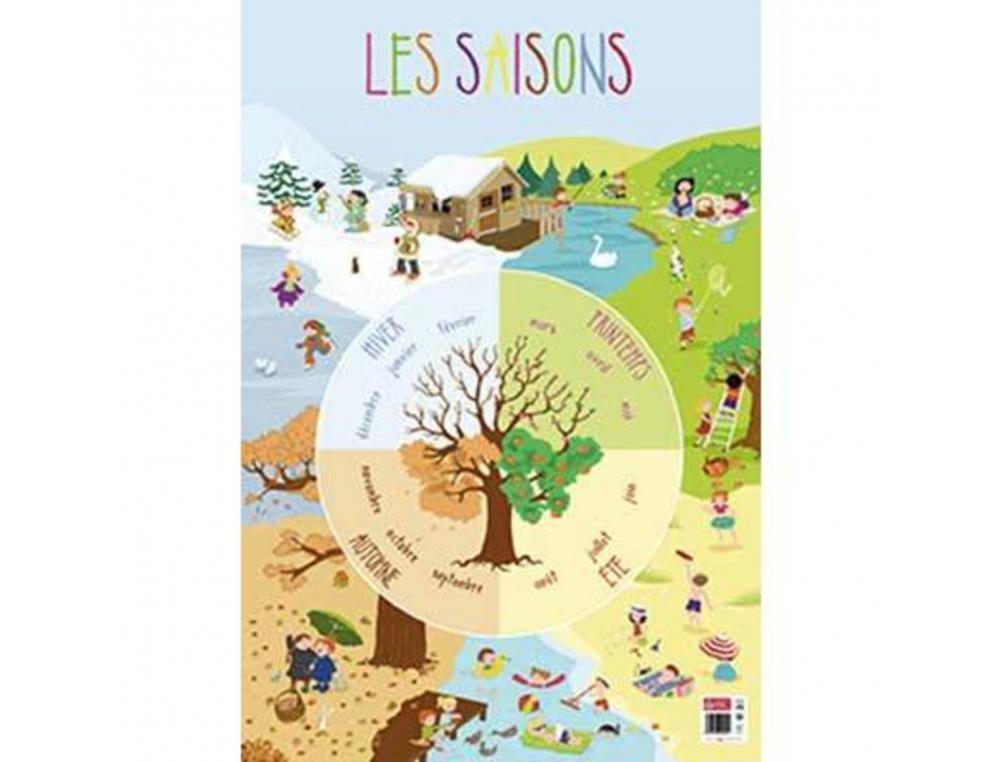 Poster bouchut grandrémy les saisons 52x76cm 150g pelliculé effaçable à sec