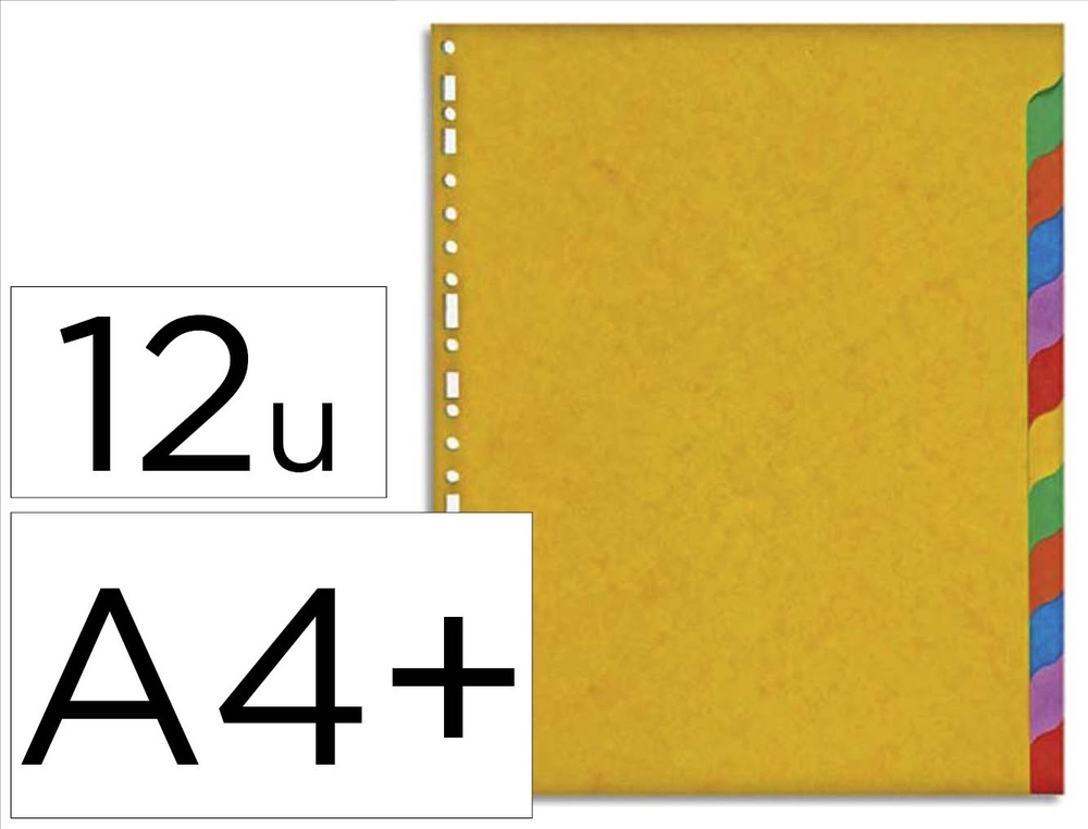 Intercalaire exacompta carte marbrée recyclée 220g 12 positions xxl coloris vifs