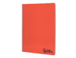 Cahier spirale liderpapel a4 micro wonder 240 pages 90g    5x5mm 4 trous 5 bandes        coloris assortis – Image 4