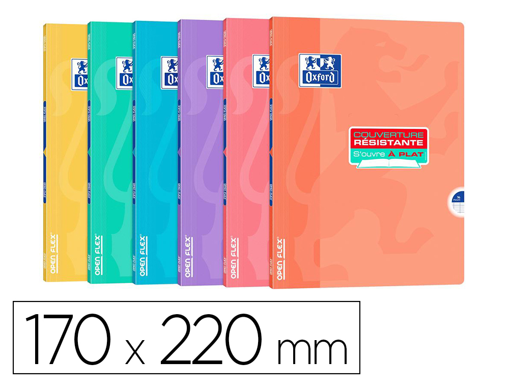 602902g-1.jpg Cahier hamelin openflex pastel agrafe 170x220 96 pages optik paper seyes – Image 1