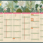 Calendrier bancaire bouchut 2027 exotique medium 6 mois   recto/verso 1 oeillet         320x420mm