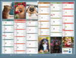Calendrier bancaire bouchut 2027 humour medium 320x420mm – Image 2