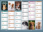 Calendrier bancaire bouchut 2027 humour medium 320x420mm