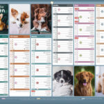 Calendrier bancaire bouchut 2027 humour medium 320x420mm