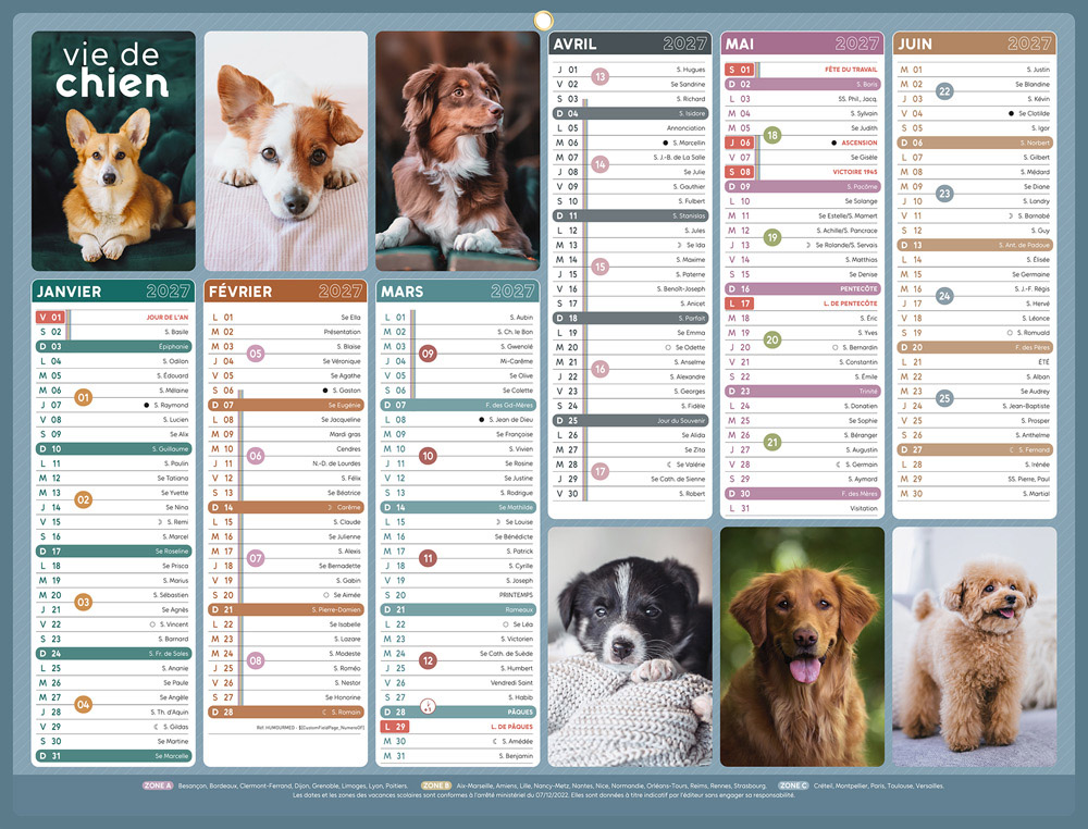 611372g-1.jpg Calendrier bancaire bouchut 2027 humour medium 320x420mm – Image 1