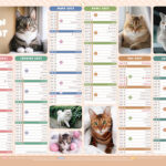 Calendrier bancaire bouchut 2027 chats medium 320x420mm