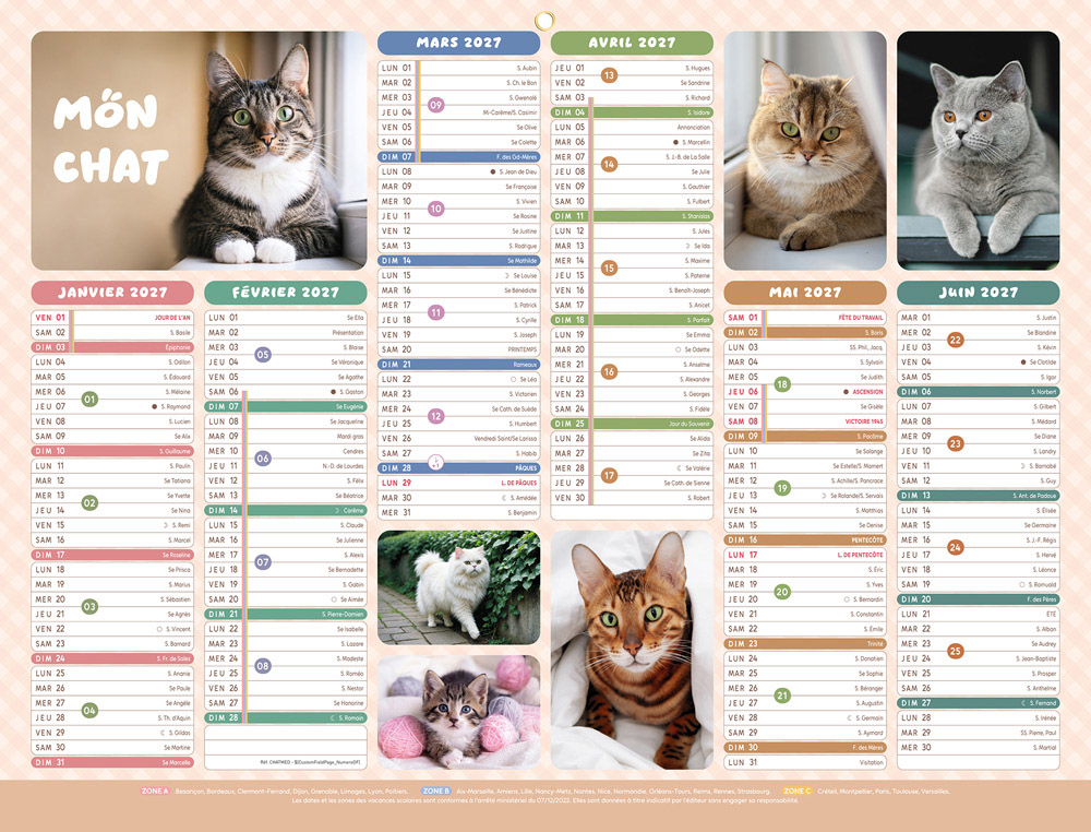 611373g-1.jpg Calendrier bancaire bouchut 2027 chats medium 320x420mm – Image 1