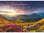 Calendrier poche bouchut 2027 ambiance nature 4 vues        110x80mm – Image 2