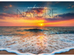 Calendrier poche bouchut 2027 ambiance nature 4 vues        110x80mm – Image 3