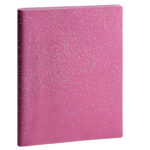 Agenda exacompta easytime 27s spirale amelie janv a dec     21x27 cm
