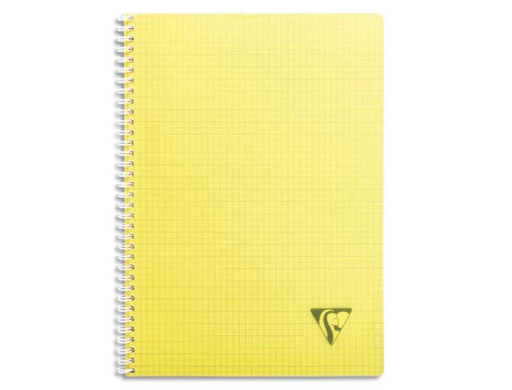 Cahier clairefontaine linicolor reliure intégrale assortiment fresh a4 21x29,7cm 180 pages 90g 5x5mm
