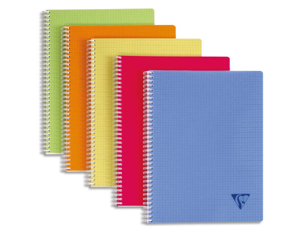 Cahier clairefontaine linicolor reliure intégrale assortiment fresh a5+ 17x22cm 100 pages 90g 5x5mm