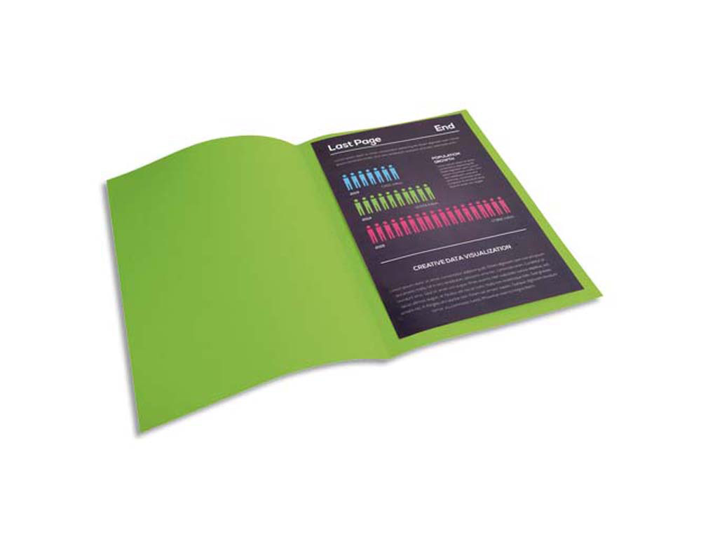Chemise exacompta rock's carte 210g a4 24x32cm coloris vert empire paquet 100 unités