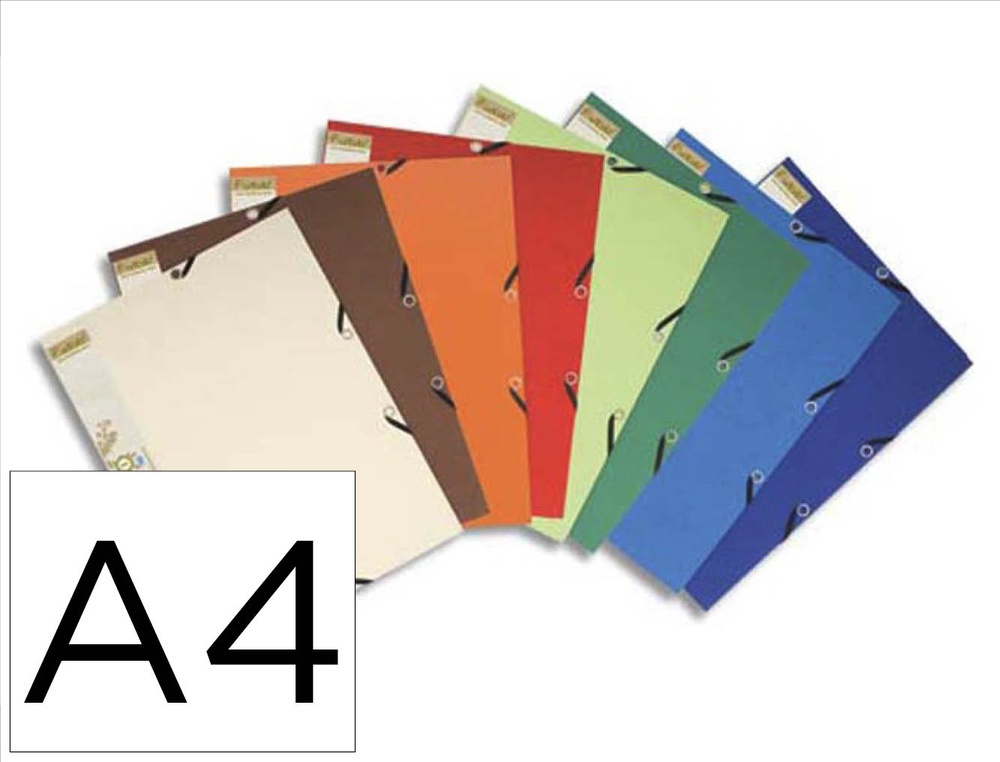 Chemise 3 rabats exacompta forever carte recyclée 380g format a4 24x32cm étiquette dos élastique lot 25 unités assorties
