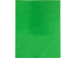 Papier de soie liderpapel 52x76cm 18g/m2 unicolore vert moyen sachet 25f – Image 3