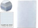 Papier écriture liderpapel 31x42.8cm ouvert copie double 60g/m2 quadrillage 4mm coloris blanc paquet 250f