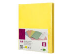 Chemise liderpapel papier cartonne 180g 310x230mm       document a4 210x297mm coloris pastel jaune intense – Image 10