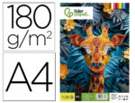 Papier cartonné liderpapel a4 180g/m2 10 coloris assortis paquet 100f