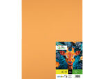 Papier cartonne liderpapel 50x65cm 240gr coloris         noisette paquet 25 feuilles – Image 2