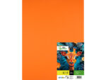 Papier cartonne liderpapel 50x65cm 240gr coloris orange  paquet 25 feuilles – Image 2