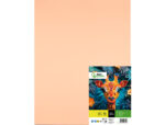 Papier cartonne liderpapel 50x65cm 240gr coloris sepia   paquet 25 feuilles – Image 2