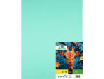 Papier cartonne liderpapel 50x65cm 240gr coloris vert    paquet 25 feuilles – Image 2