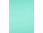 Papier cartonne liderpapel 50x65cm 240gr coloris vert    paquet 25 feuilles – Image 3