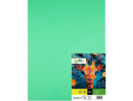 Papier cartonne liderpapel 50x65cm 240gr coloris vert    pistache paquet 25 feuilles – Image 3