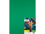 Papier cartonne liderpapel 50x65cm 240gr coloris vert    noel paquet 25 feuilles – Image 2