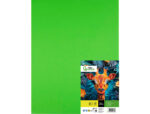 Papier cartonne liderpapel 50x65cm 240gr coloris vert    herbe paquet 25 feuilles – Image 3