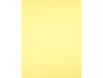 Papier cartonne liderpapel 50x65cm 180gr coloris jaune   clair – Image 2