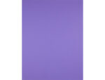 Papier cartonne liderpapel 50x65cm 180gr coloris pourpre – Image 2