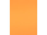 Papier cartonne liderpapel 50x65cm 180gr coloris         nectarine – Image 2