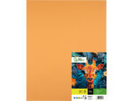 Papier cartonne liderpapel 50x65cm 180gr coloris         noisette paquet 25 feuilles – Image 2