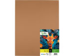 Papier cartonne liderpapel 50x65cm 180gr coloris marron  clair paquet 25 feuilles – Image 2