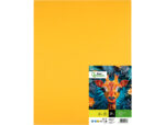 Papier cartonne liderpapel 50x65cm 180gr coloris vieil   or paquet 25 feuilles – Image 2