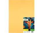 Papier cartonne liderpapel 50x65cm 180gr coloris or      paquet 25 feuilles – Image 2