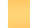 Papier cartonne liderpapel 50x65cm 180gr coloris or      paquet 25 feuilles – Image 3
