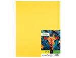 Papier cartonne liderpapel 50x65cm 180gr coloris jaune   citron paquet 25 feuilles – Image 2
