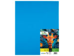 Papier cartonne liderpapel 50x65cm 180gr coloris         turquoise paquet 25 feuilles – Image 2