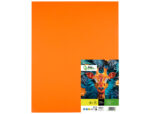 Papier cartonne liderpapel 50x65cm 180gr coloris orange  paquet 25 feuilles – Image 2