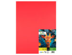 Papier cartonne liderpapel 50x65cm 180gr coloris rouge   paquet 25 feuilles – Image 2