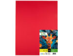 Papier cartonne liderpapel 50x65cm 180gr coloris rouge   noel paquet 25 feuilles – Image 2