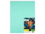 Papier cartonne liderpapel 50x65cm 180gr coloris vert    paquet 25 feuilles – Image 2