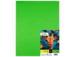 Papier cartonne liderpapel 50x65cm 180gr coloris vert    pistache paquet 25 feuilles – Image 2