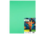 Papier cartonne liderpapel 50x65cm 180gr coloris vert    herbe paquet 25 feuilles – Image 2