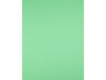 Papier cartonne liderpapel 50x65cm 180gr coloris vert    herbe paquet 25 feuilles – Image 3
